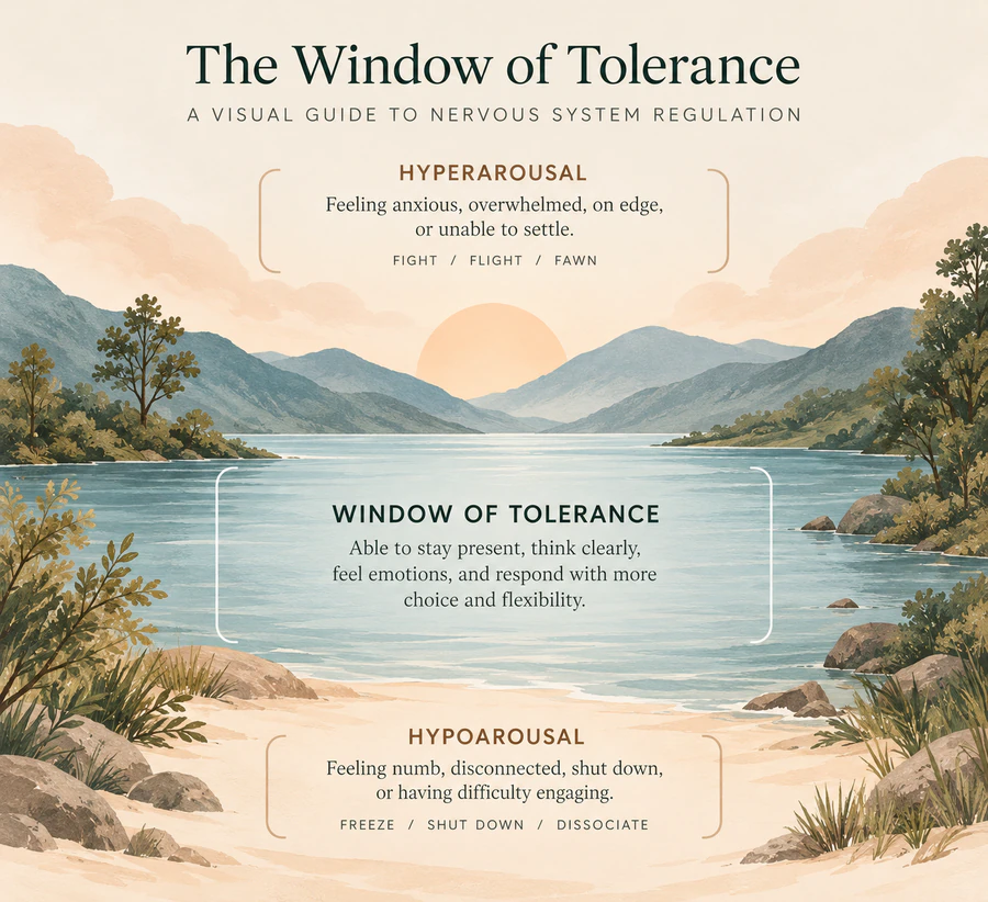 Illustration representing nervous system regulation and the window of tolerance.